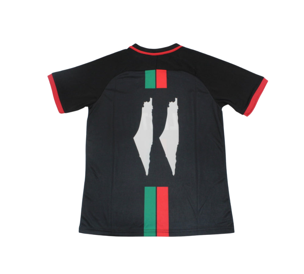 Camiseta Palestina 2