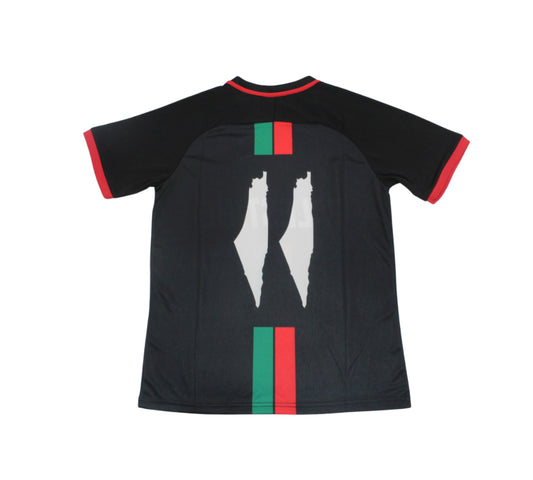Camiseta Palestina 2