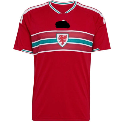 Camiseta Gales 2026